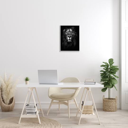 Stupell Industries King of the Jungle Lion in Shadows Wall Accent with Gray Frame